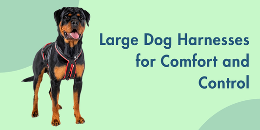 Best Large Dog Harnesses for Comfort and Control