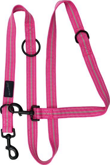 6-in-1 Sports Lead Bright Pink 1" x 70"