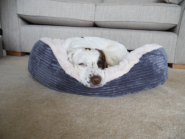 32" Grey Jumbo Cord Plush Bed