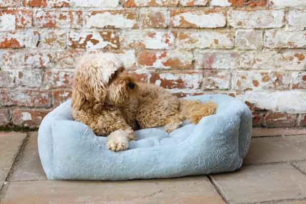 Rosewood Fur Blue Box Dog Bed - Large
