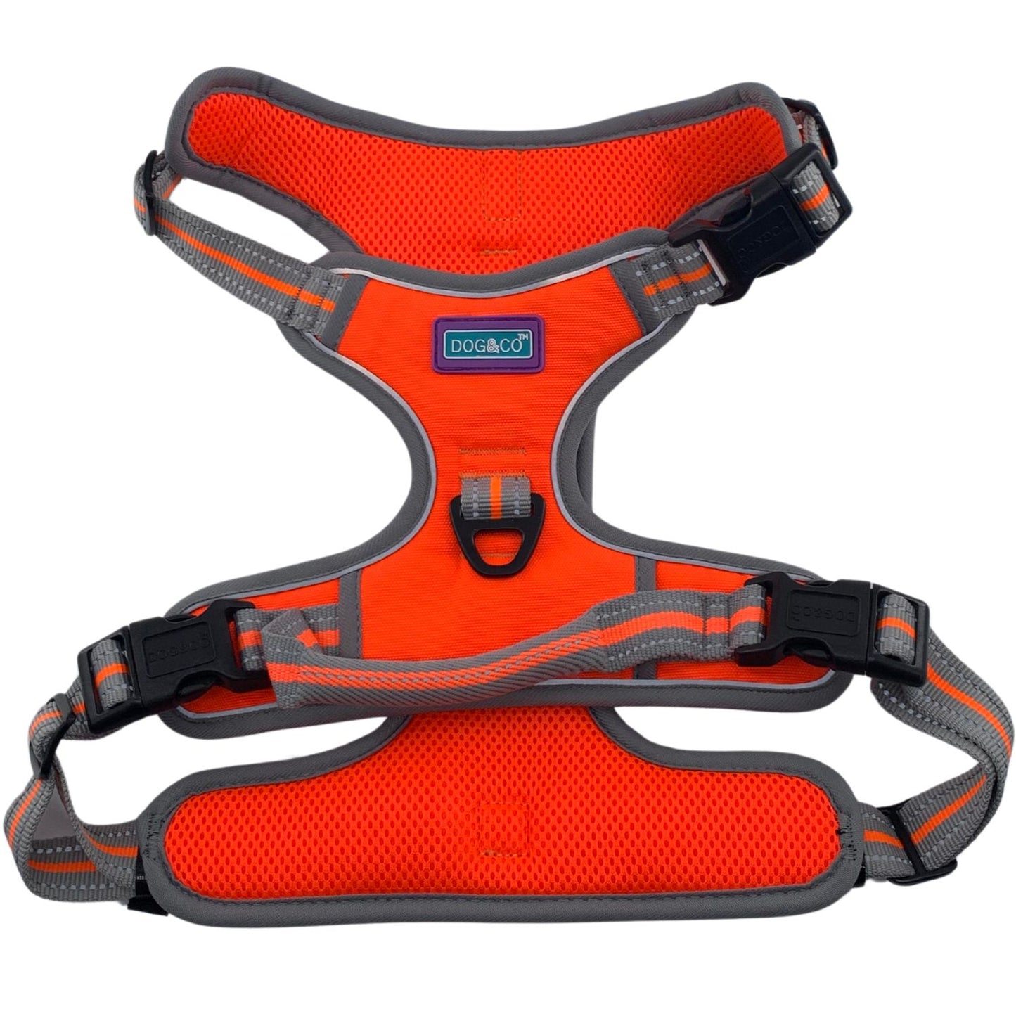 Large Sports Harness Orange