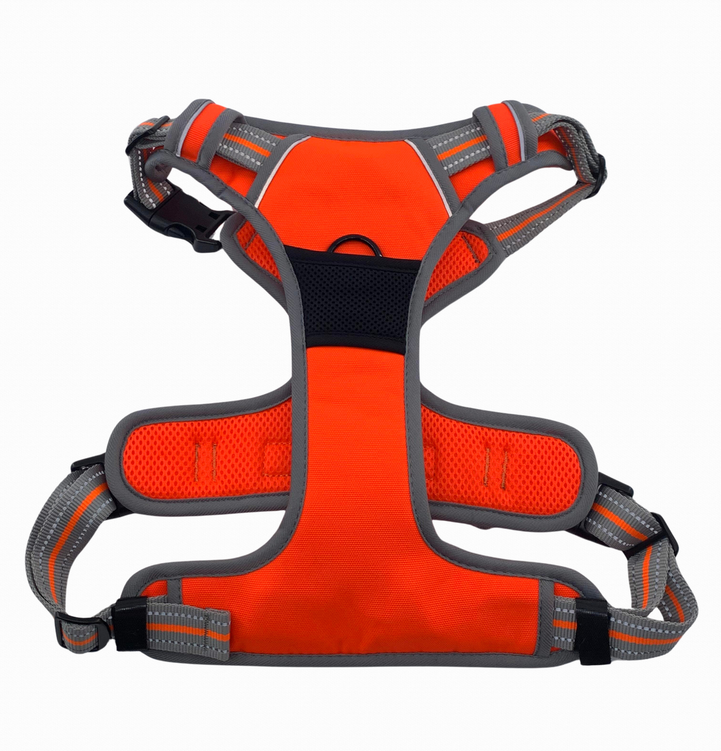 Large Sports Harness Orange