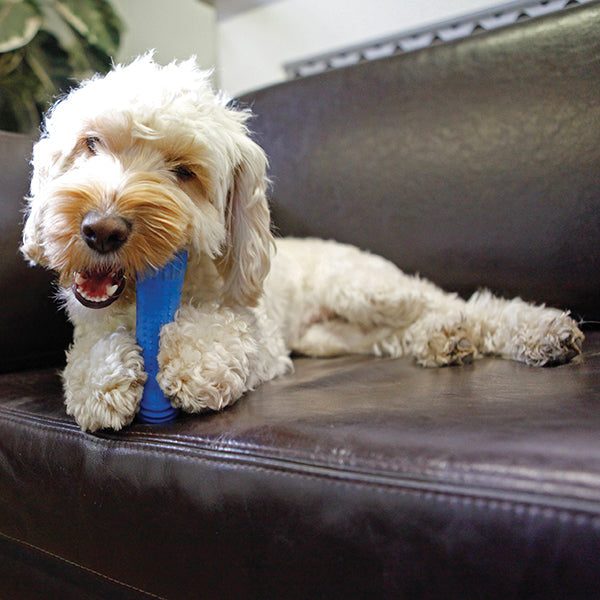 Chillax Cool Bone