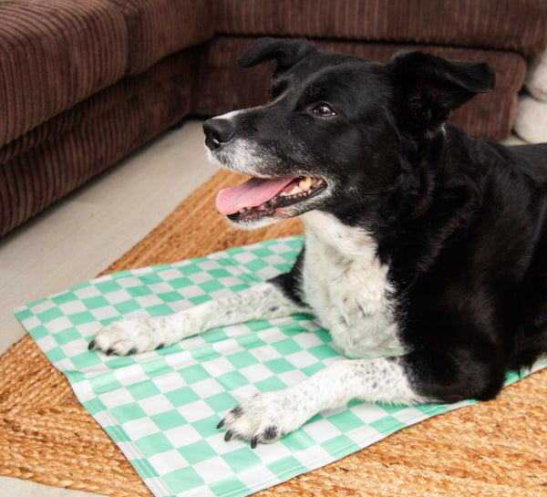 Green Checkered Cool Mat - Medium