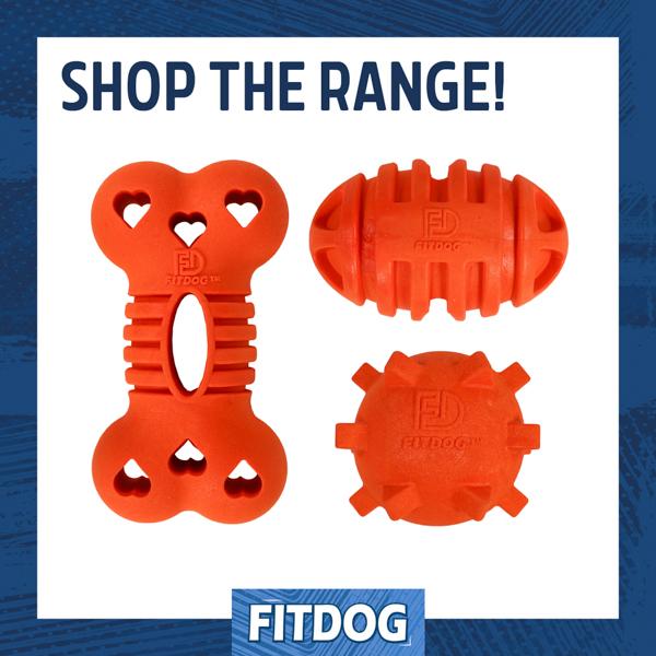 Fitdog Spikey Ball Throw Toy