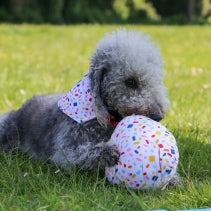 Pawty Balloon