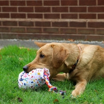 Pawty Balloon