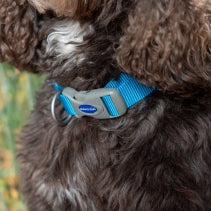 Viva Adjustable Collar size S blue