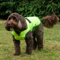 Ancol Stormguard Hi-Vis Coat XL