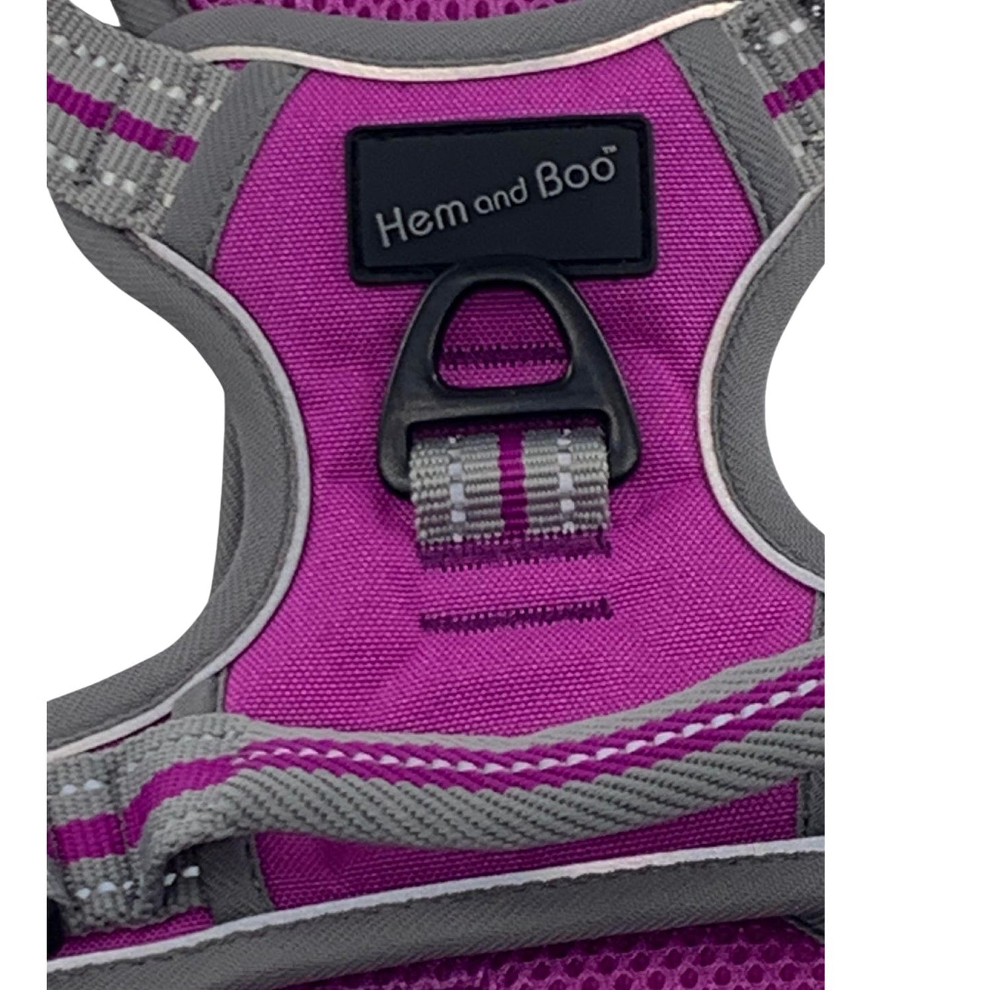 Sports Harness Purple X Large