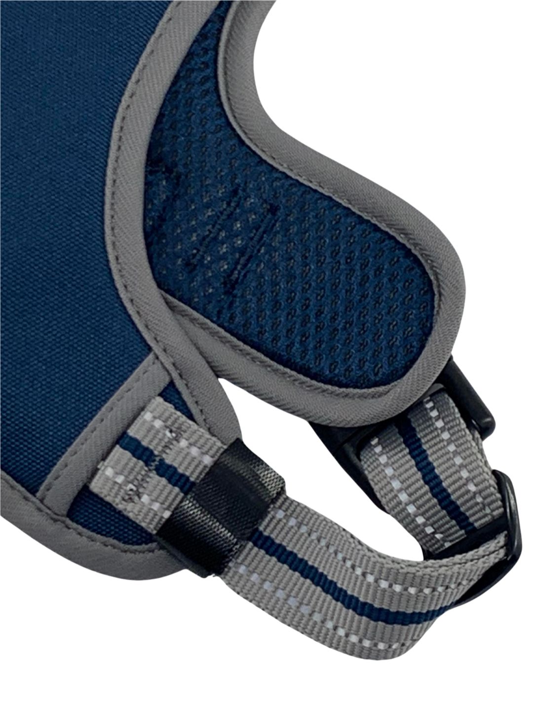 Large Sports Harness Blue