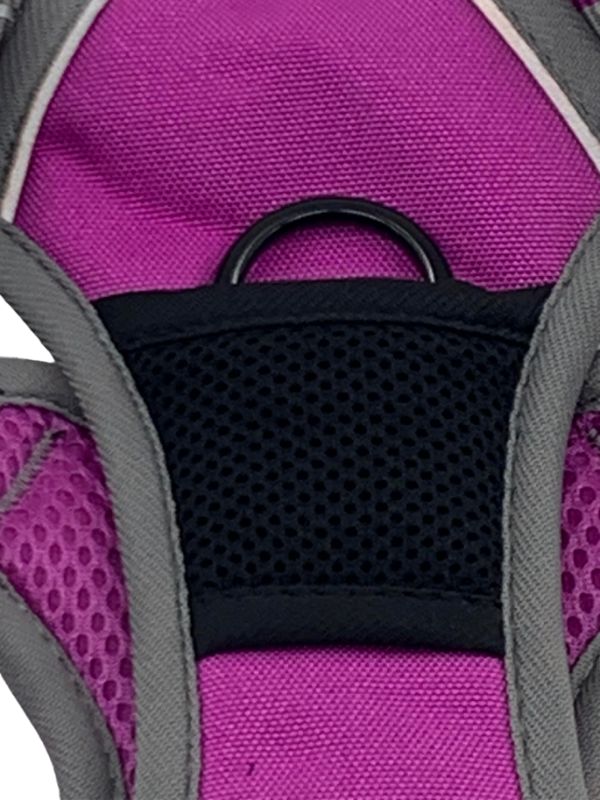 Sports Harness Purple X Large