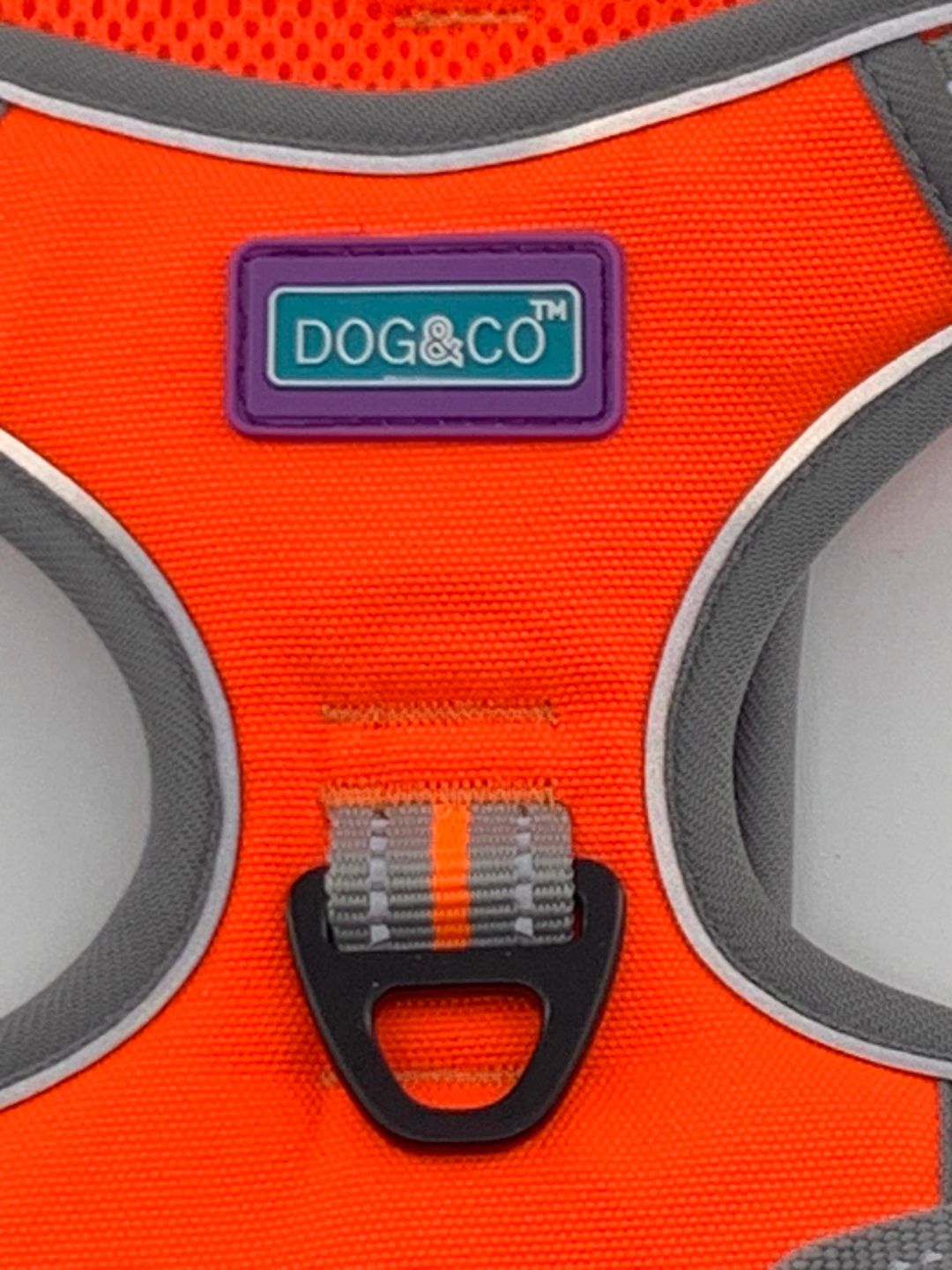 Large Sports Harness Orange
