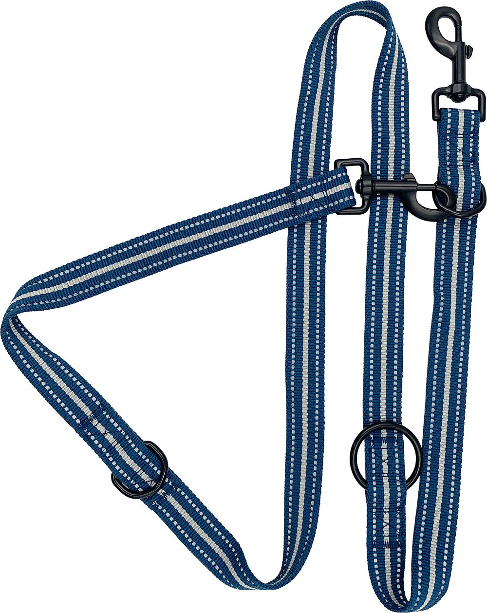 6-in-1 Sports Lead Blue 1" x 72"