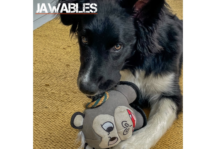 Jawables Bad Boys (Assorted)