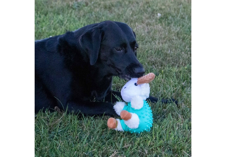 Ancol Orva Ram Ball Belly