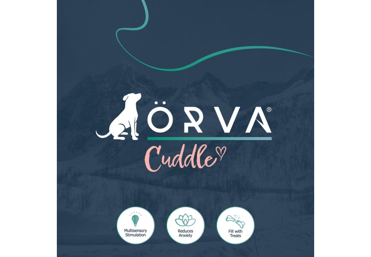 Orva Tough Tummies Bear Treat Belly