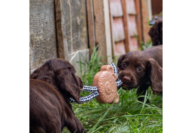 Small Bite Teddy Teether Tugger