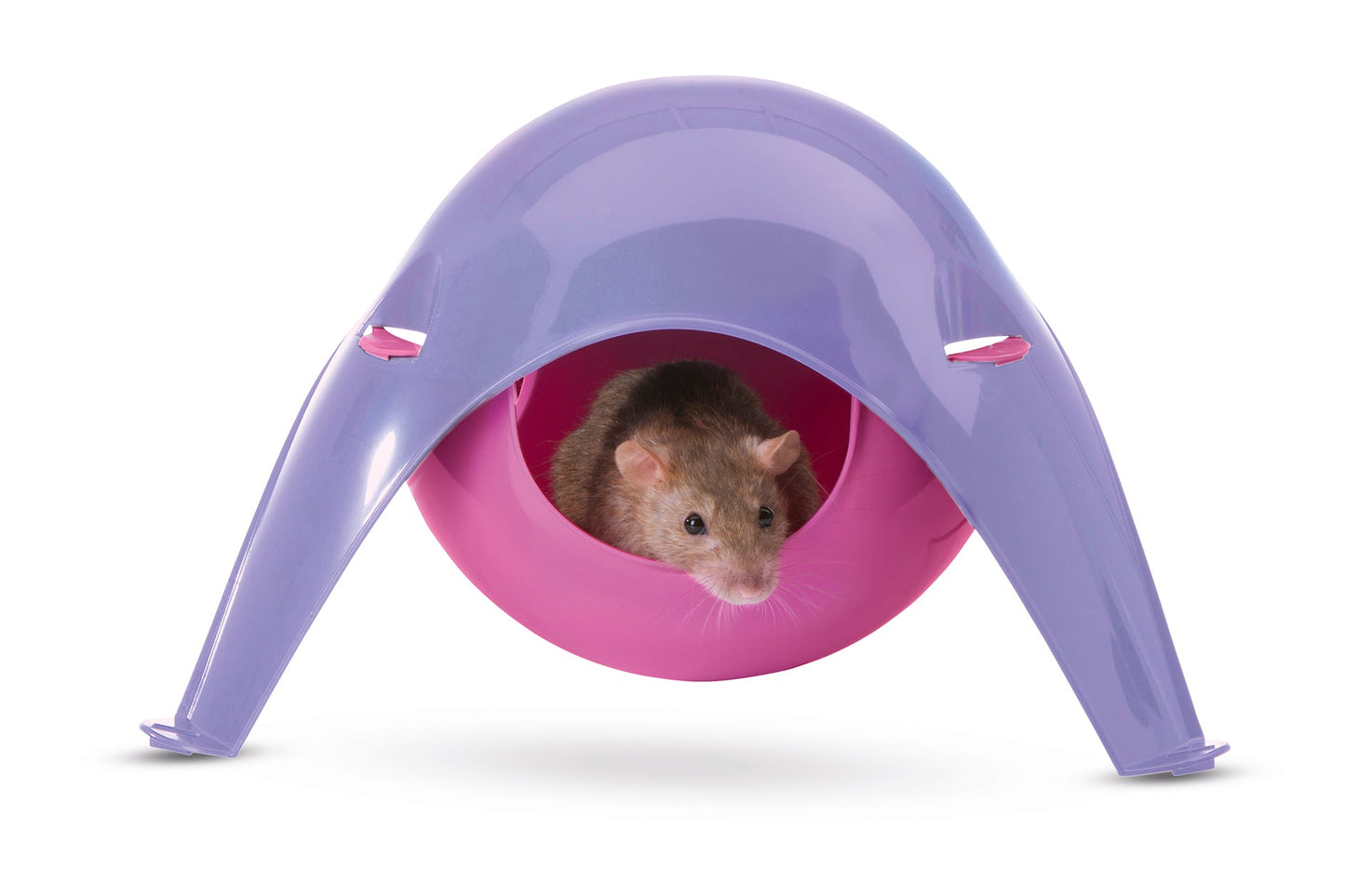 Sputnik Xl Rat House: Fuchsia Violet