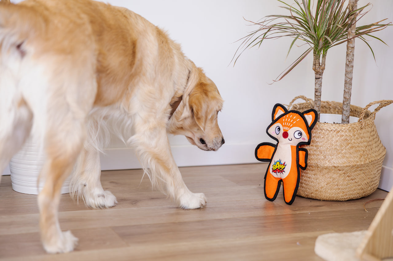 BamNip Find It Fox