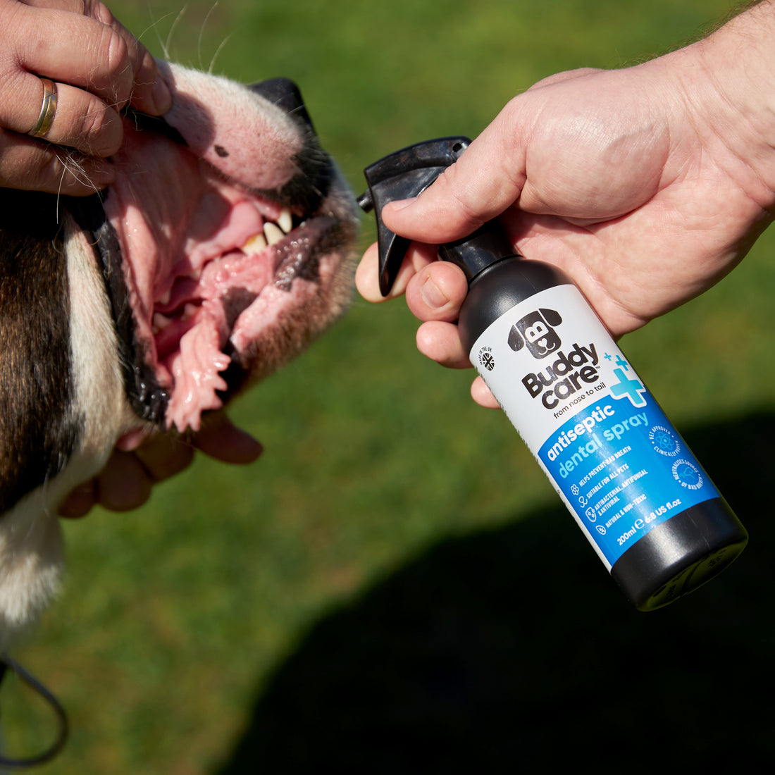 Buddy Care Pet Antiseptic Dental Spray - 200ml / 6.76 fl oz