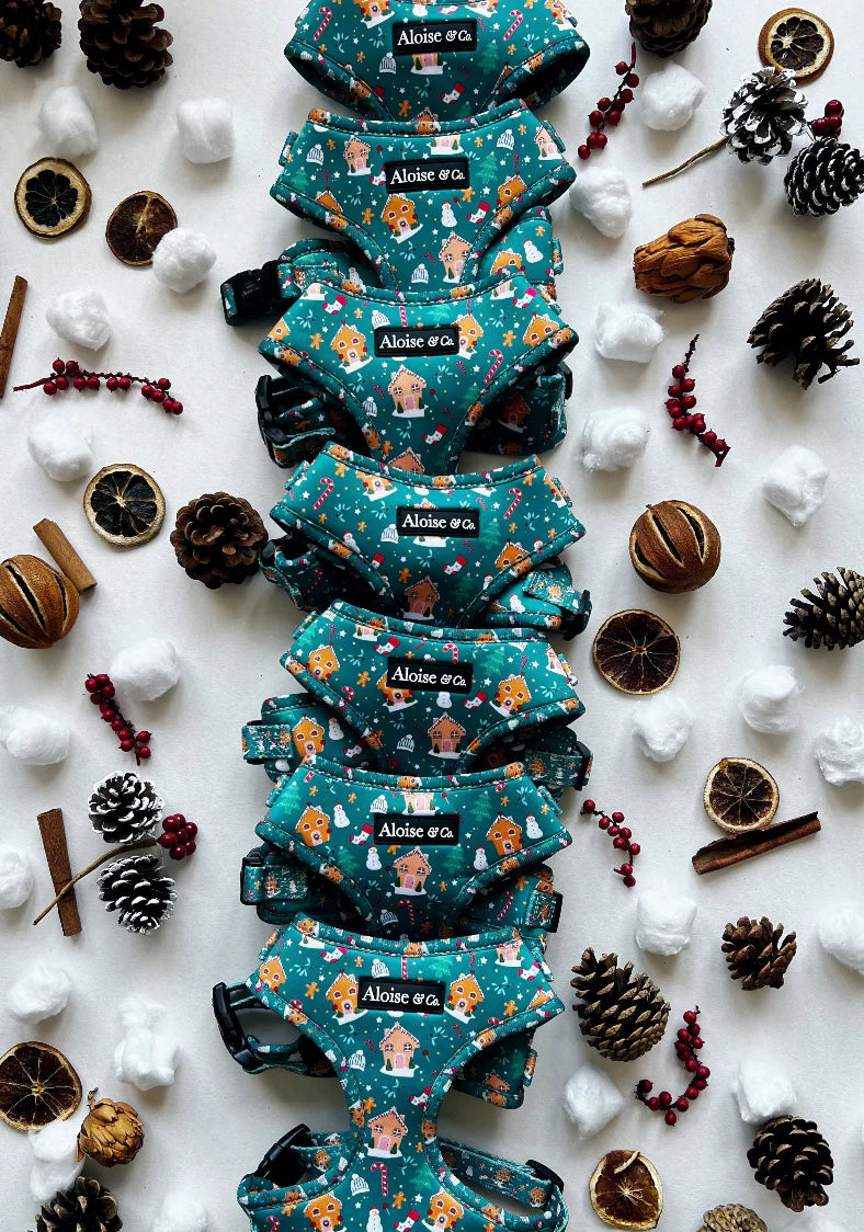 A&C Christmas Harness