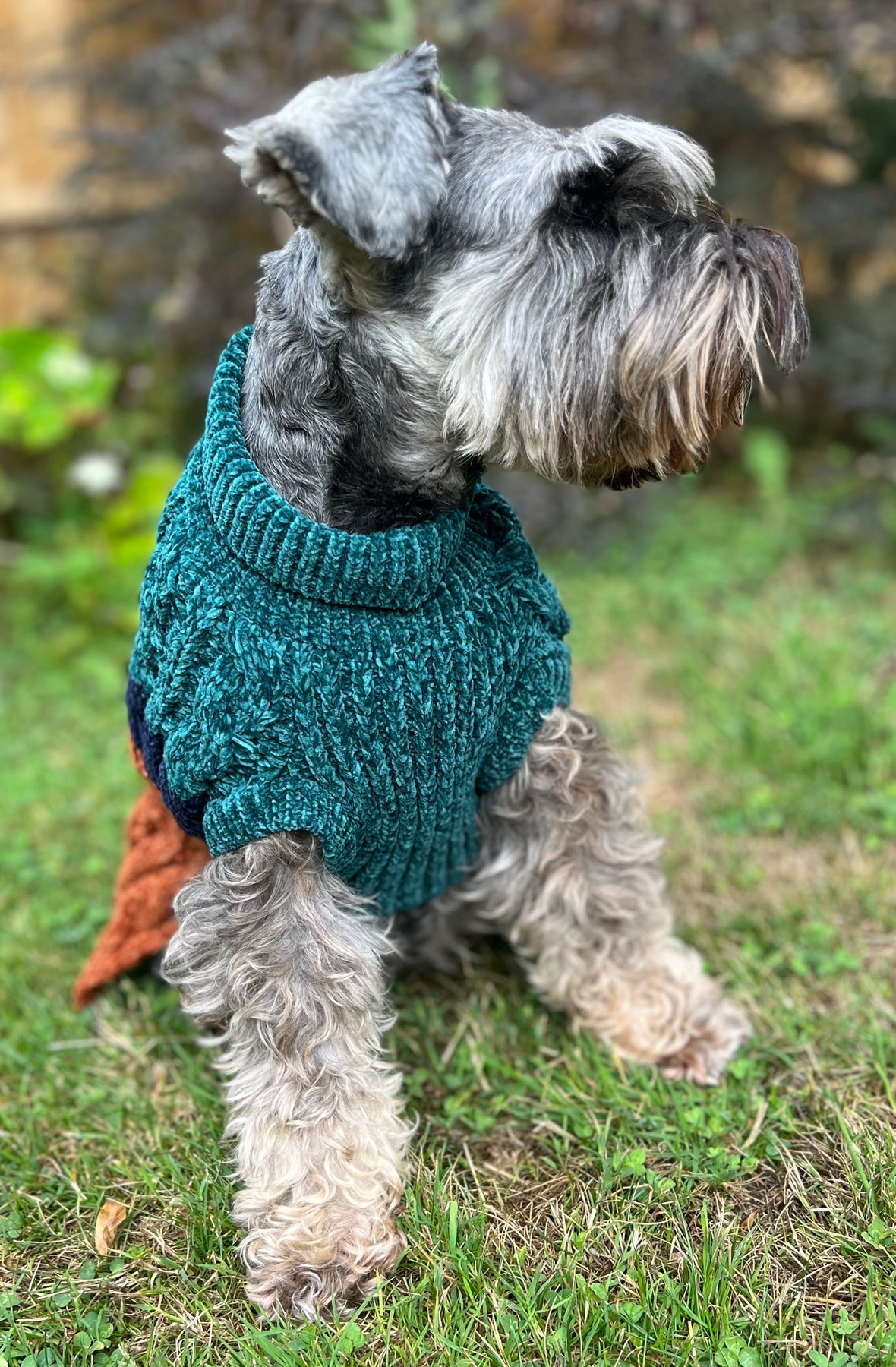 Sotnos Luxe Chenille Woodland Hue Jumper XS