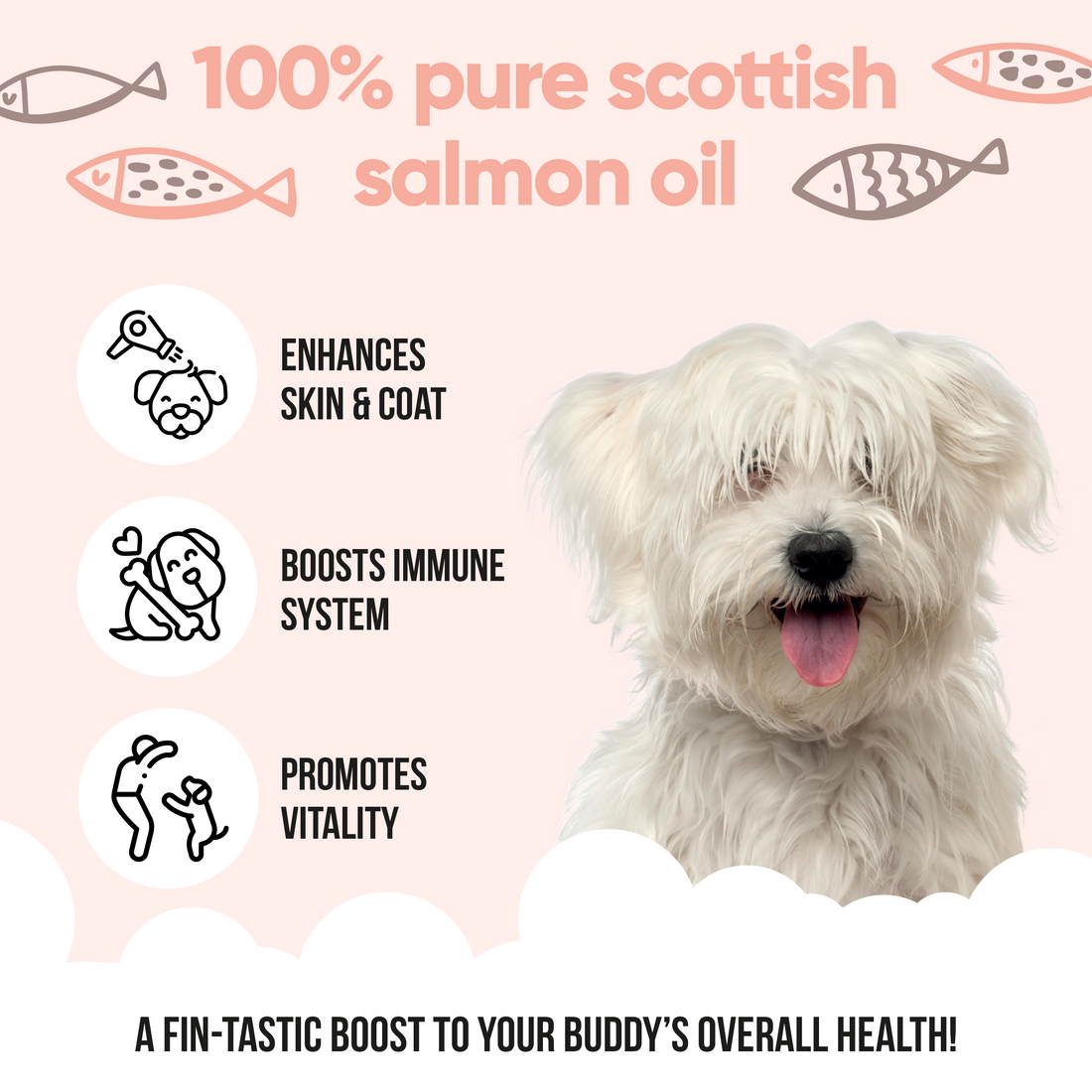 Buddy Care Salmon Oil - 5L / 1.32 Gal