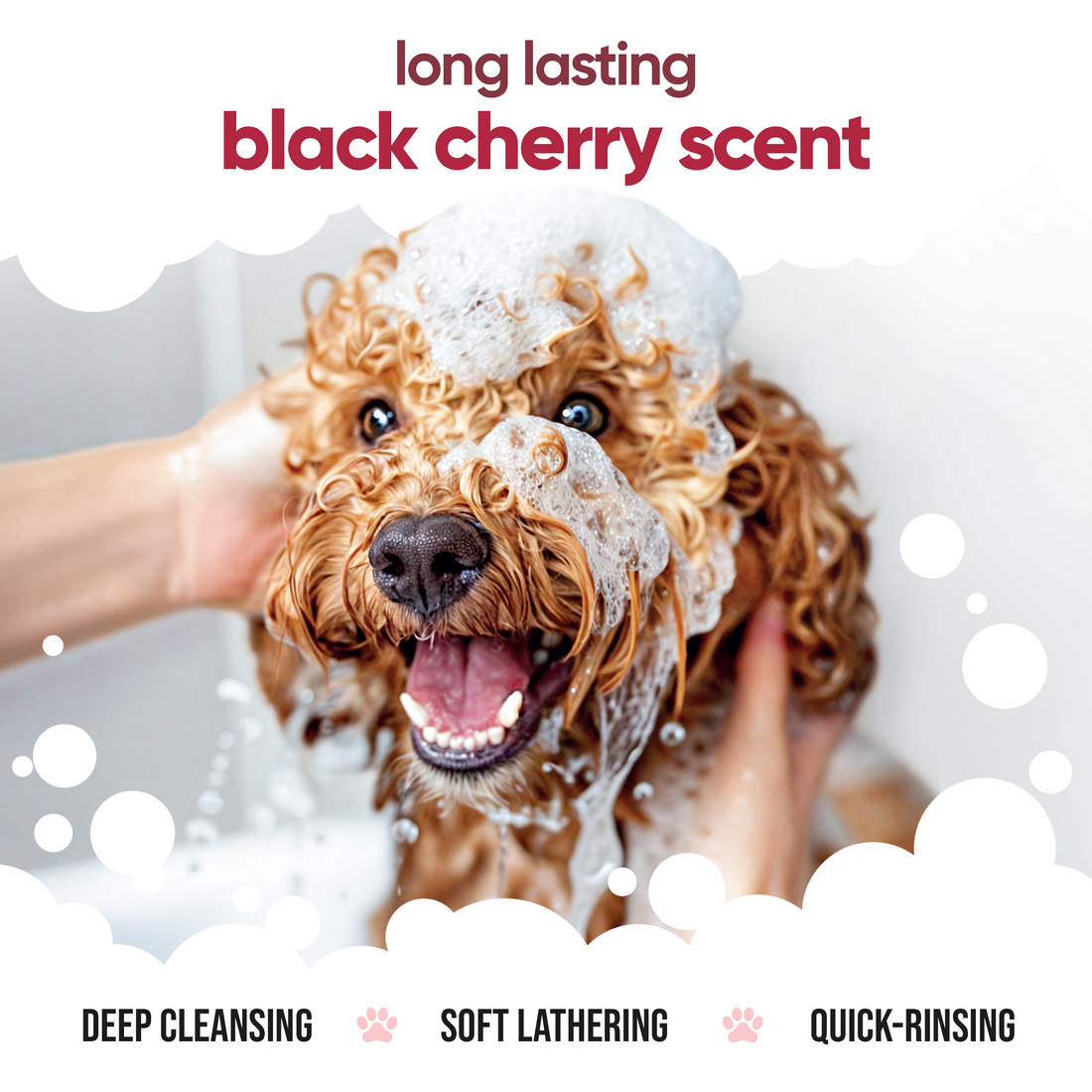 Buddy Care Dog Shampoo - Black Cherry - 5L / 1.32 Gal