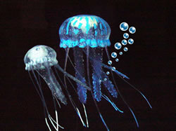 Jellyfish Twin Pack Blue/Clear Glowing Effect