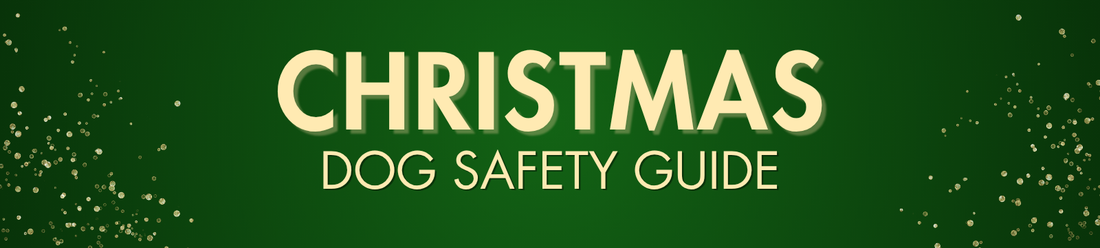Christmas Dog Safety Guide banner