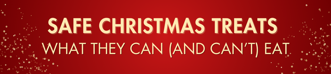 Safe Christmas Treats for Dogs: What They Can (and Can't) Eat