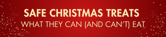 Safe Christmas Treats for Dogs: What They Can (and Can't) Eat