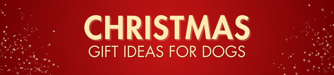 15 Best Christmas Gifts Ideas For Dogs in 2025