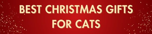 15 Best Christmas Gifts for Cats