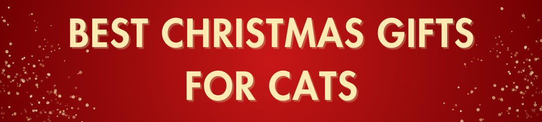 15 Best Christmas Gifts for Cats