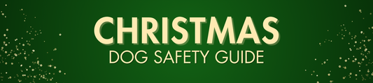 Christmas Dog Safety Guide banner