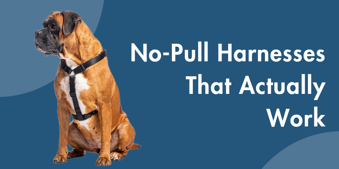 No-Pull Dog Harnesses That Actually Work