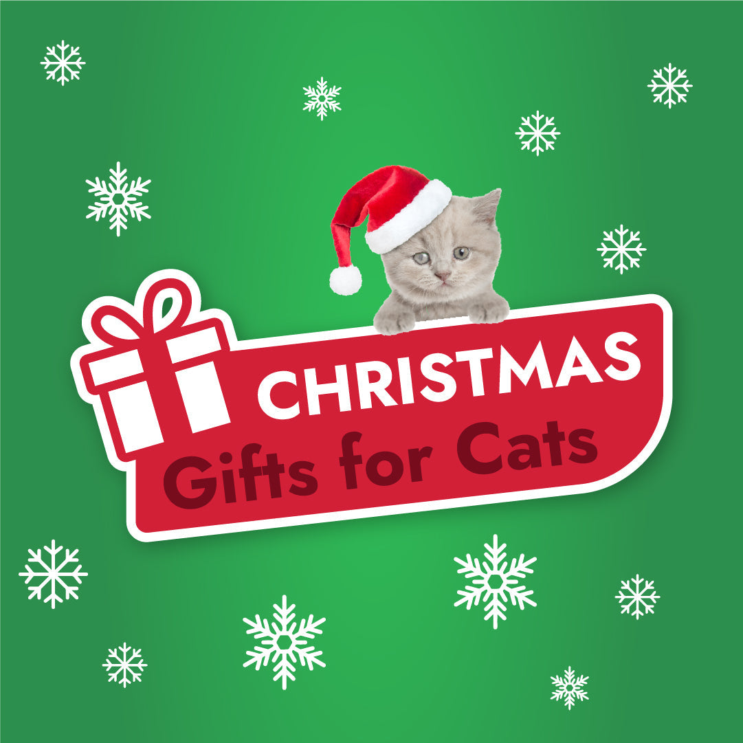 Christmas Gifts For Cats