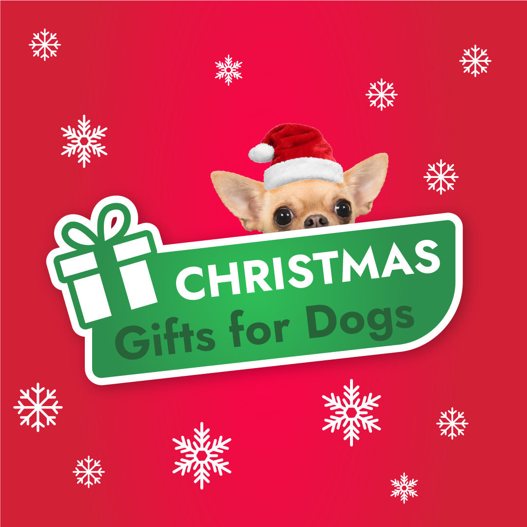 Christmas Gifts For Dogs