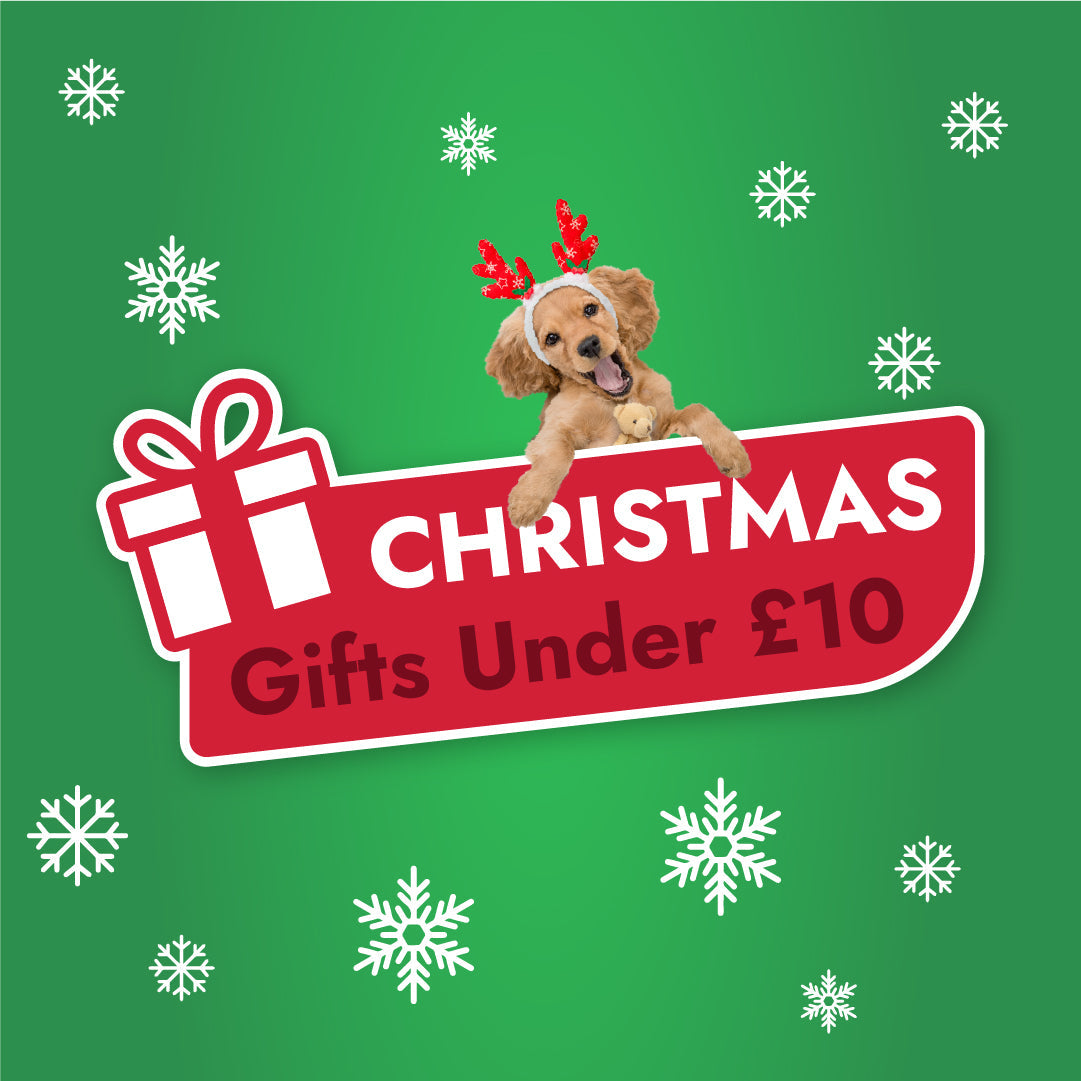 Christmas Gifts Under £10