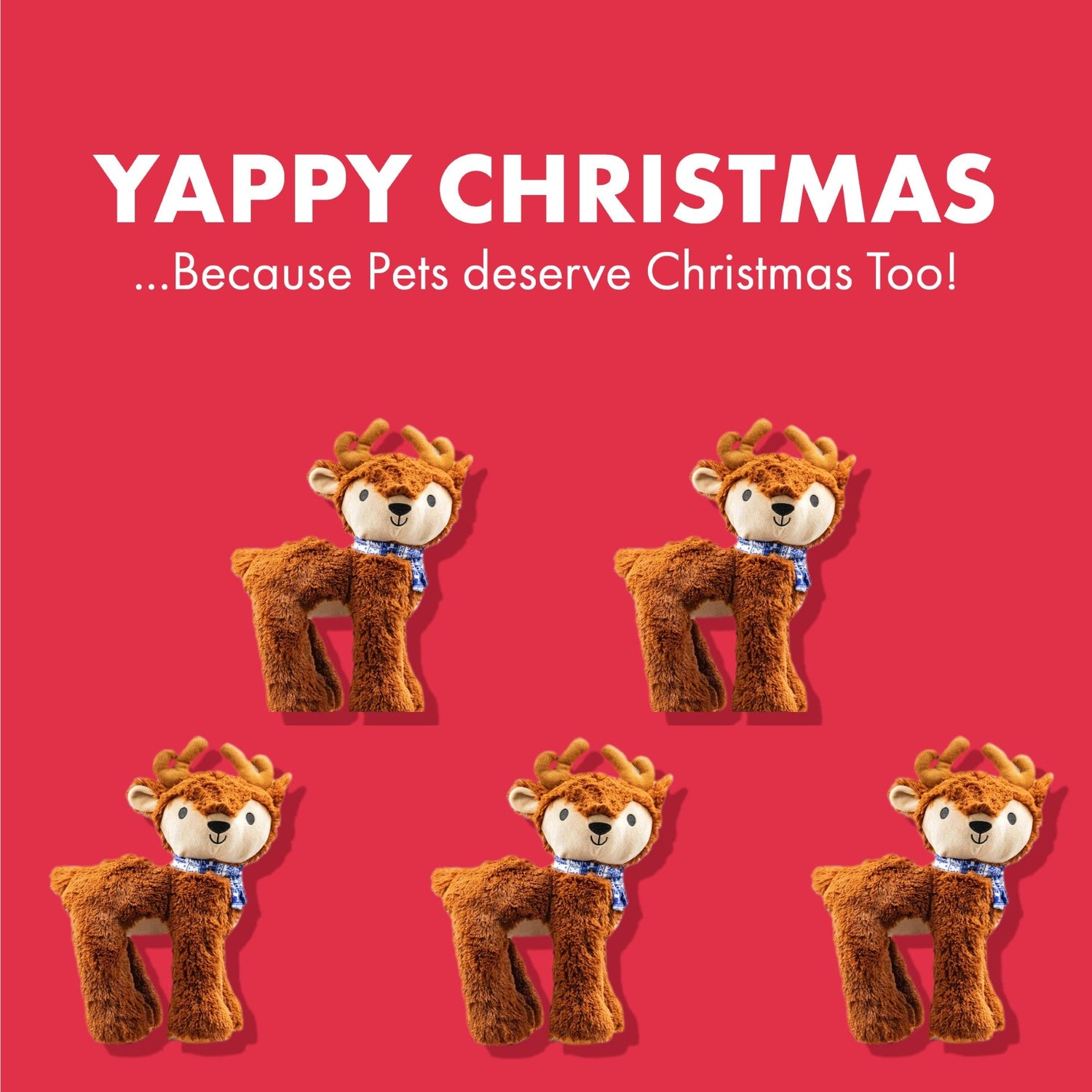 Christmas Pet Gifts