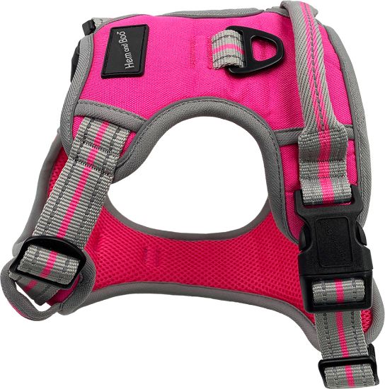 Small Sports Harness Bright Pink