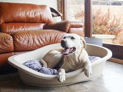 Rosewood All Season Dog Bed Mattress 65 (55cm)