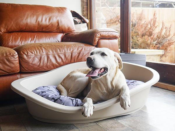 Rosewood All Season Dog Bed Mattress 95 (81cm)