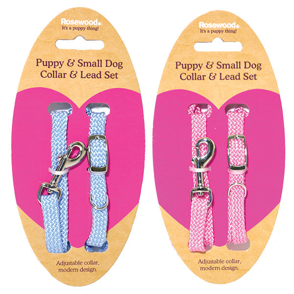 Puppy Collar Lead Set