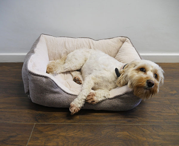 24" Lux Truffle Plush Squ Bed
