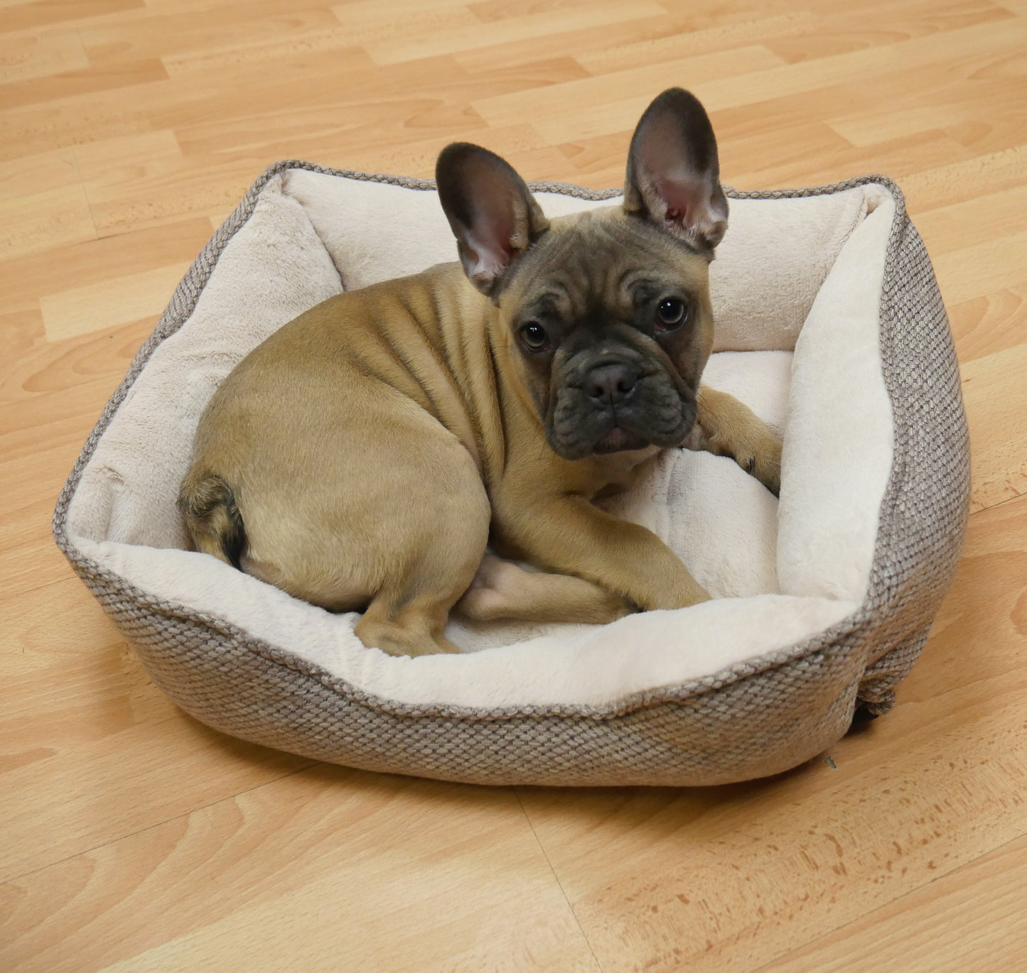 24" Lux Truffle Plush Squ Bed