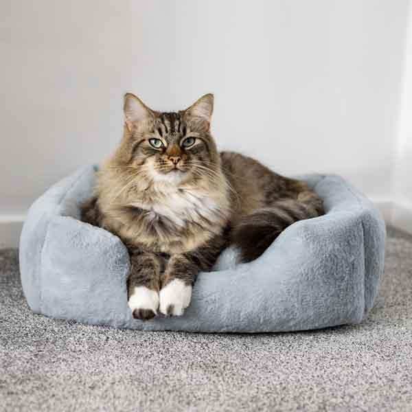 Rosewood Fur Blue Box Bed - Small