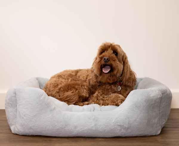 Rosewood Fur Blue Box Bed - Small